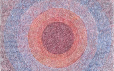 El órden una frágil conquista, 2017