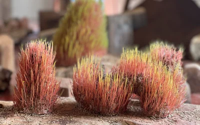 Transecto, suelo y …, 2025